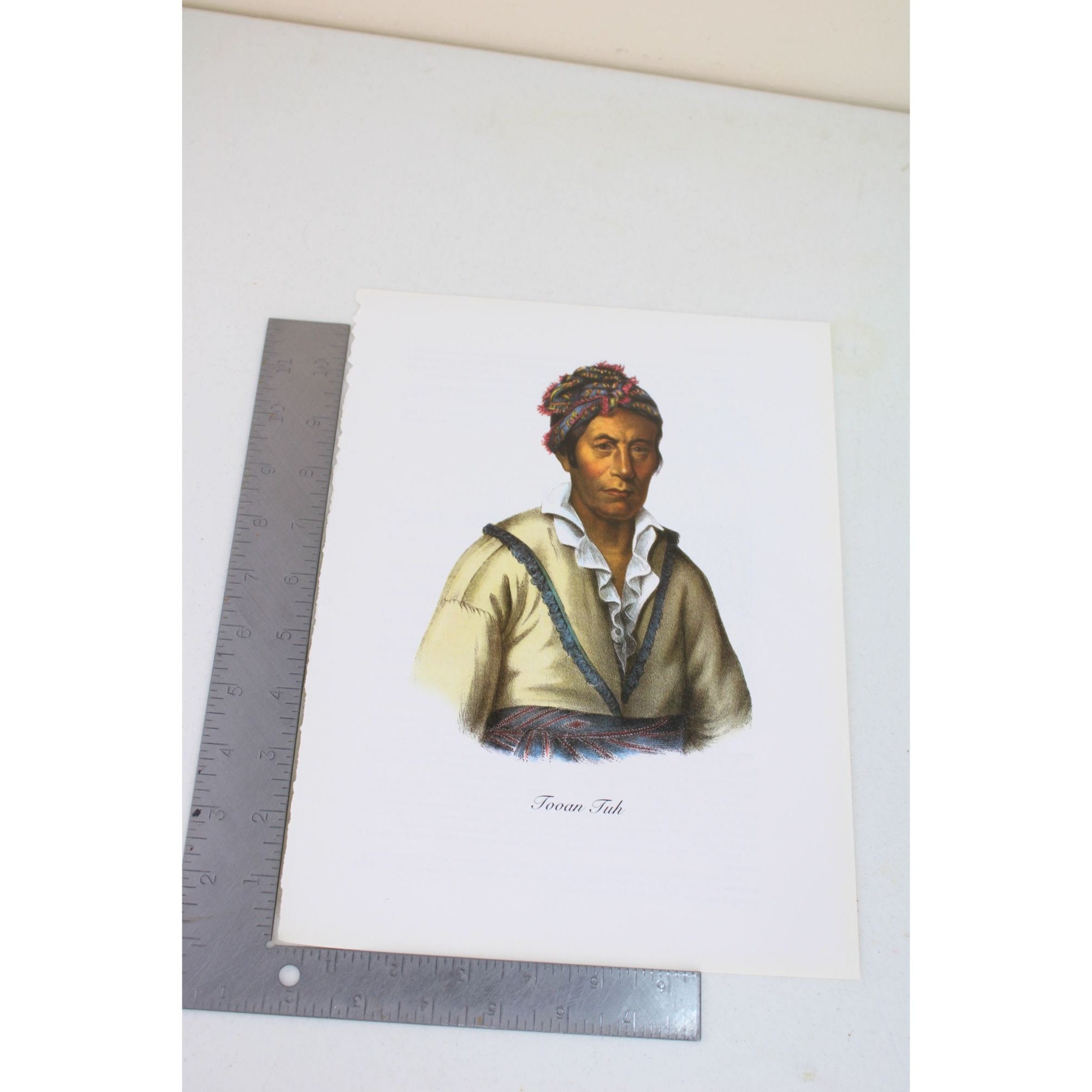 Native American Indian Print Tooan Tuh Spring Frog Cherokee 90839