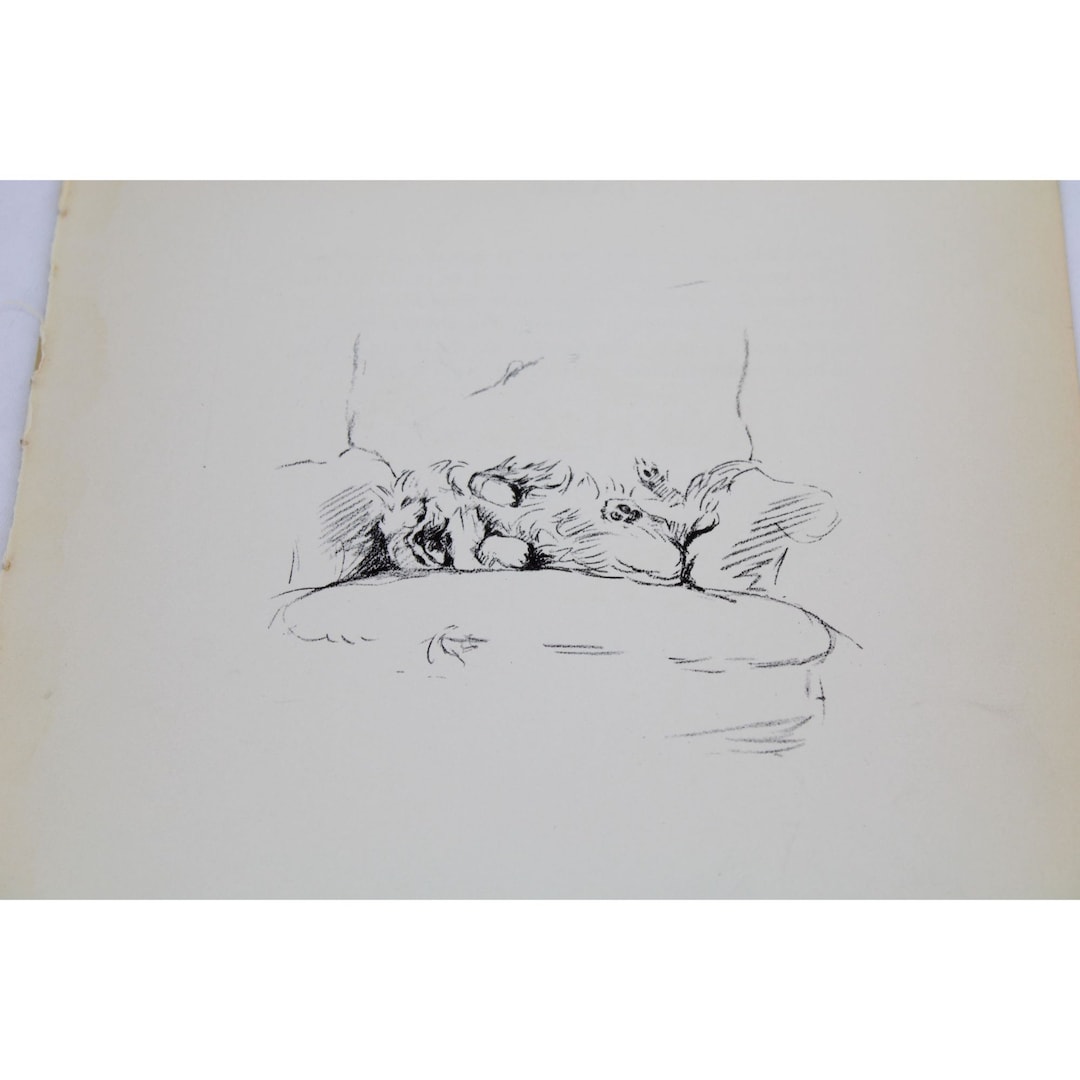 Lucy Dawson 1937 Springer Spaniel Pekingese Print Vintage 90484 Jane ...