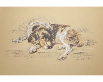Lucy Dawson 1937 Welsh Springer Spaniel Print Vintage 90485 Jane