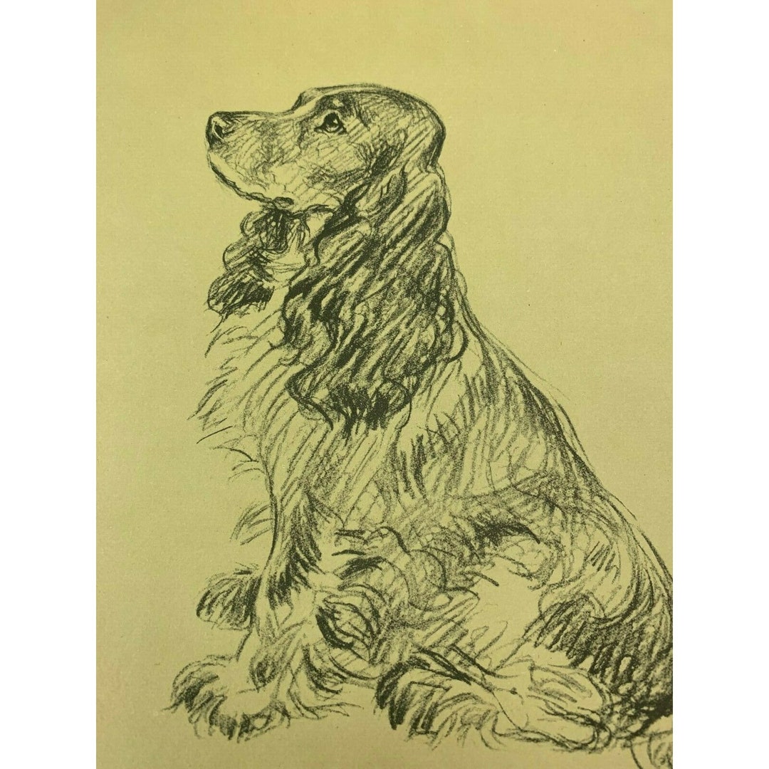 Lucy Dawson 1937 Dog Print Cover Spaniel Dogs 32112 Springer Cocker ...