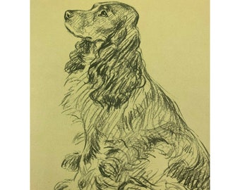 Lucy Dawson 1937 Dog Print Cover Spaniel Dogs 32112 Springer Cocker King Charles