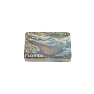 Florida Gator Spielkarten Sealed Deck Alligator Vintage 90438