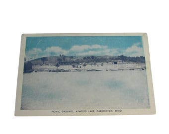 Vintage Postcard Picnic Grounds Atwood Lake Carrollton OH 30880