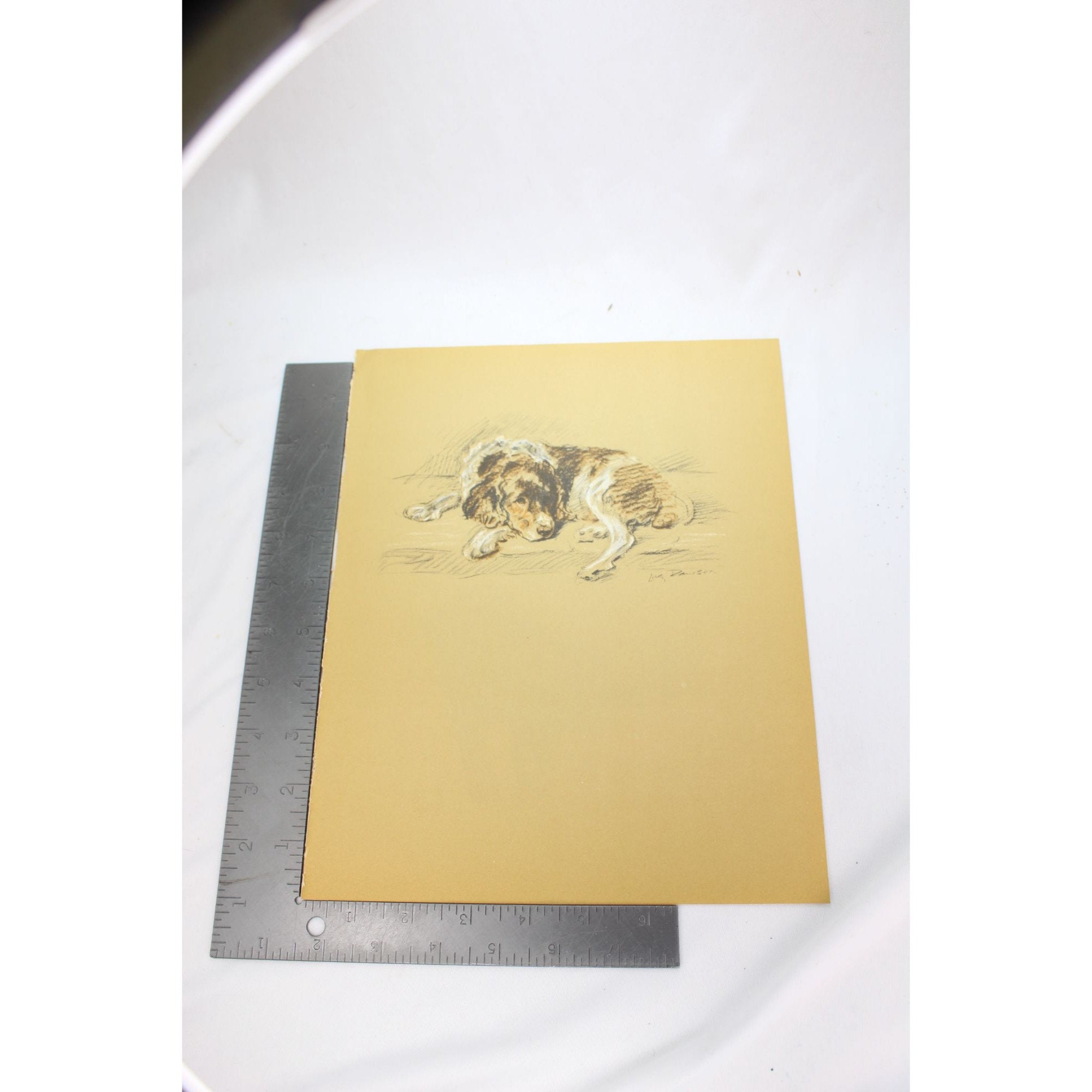 Lucy Dawson 1937 Welsh Springer Spaniel Print Vintage 90485 Jane - Etsy
