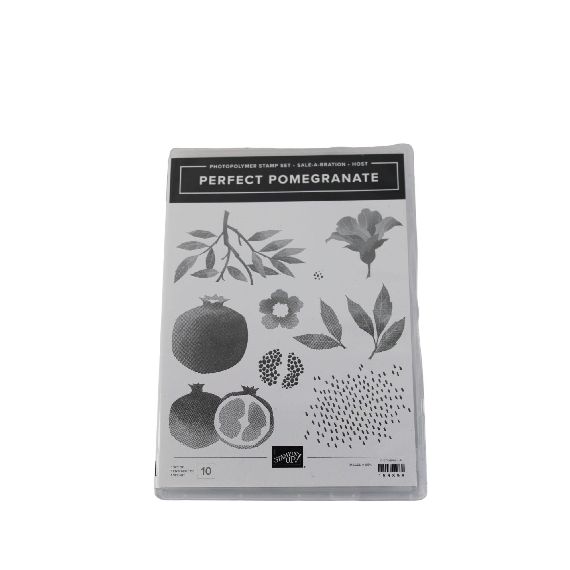 Stampin' Up PERFECT POMEGRANATE Photopolymer Stamp Set/ Sale A Bration