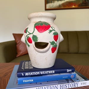 May include: A cream-colored ceramic vase with a strawberry design, featuring red strawberries and green leaves. The vase sits atop a stack of books, including "Aviation Weather" and "Aviation History". The vase has a large opening and two small handles.