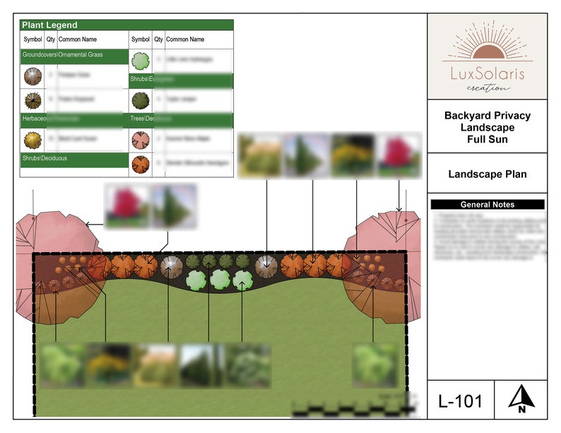 Full Sun Privacy Landscape | Zones 5-8 | Beautiful Premade Landscape ...