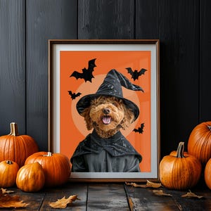 May include: A brown dog wearing a black witch hat and a black cape, with a backdrop of an orange background with black bats. The dog is surrounded by pumpkins.