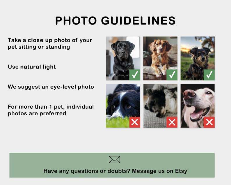 May include: A graphic with photo guidelines for pet portraits. It advises taking a close-up photo of a pet sitting or standing, using natural light, and an eye-level perspective. Examples of good and bad photos are shown.