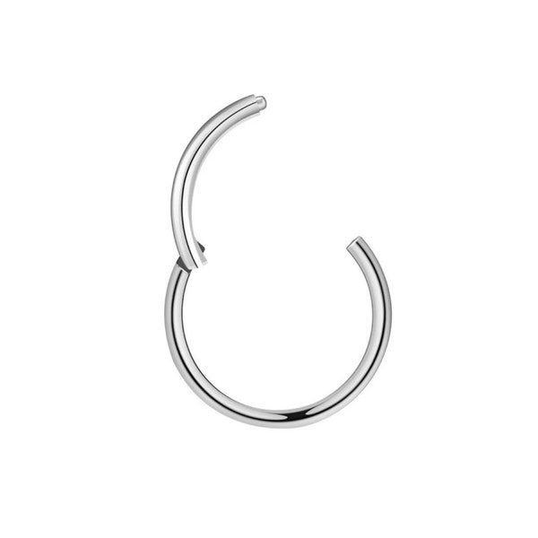 Hinged Clicking Dainty Nose Ring Hoop Stainless Steel Gold Rose Gold Rainbow