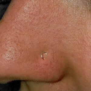May include: Close-up of a person's nose with a small gold hoop nose ring.