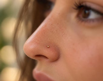 May include: A small, polished gold-tone ball nose stud is positioned on the side of the nostril. The jewelry features a simple, spherical design with a smooth, reflective metallic surface that sits flush against the skin of the nose.