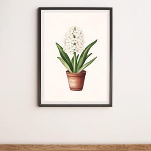 White Hyacinth Botanical Illustration Wall Art Digital Poster Print