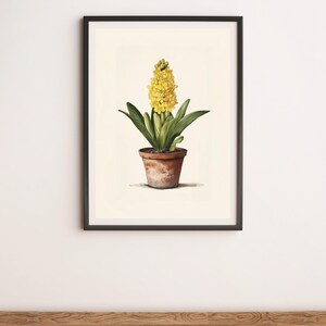 Yellow Hyacinth Vintage Style Botanical Illustration Wall Art Digital Poster Print