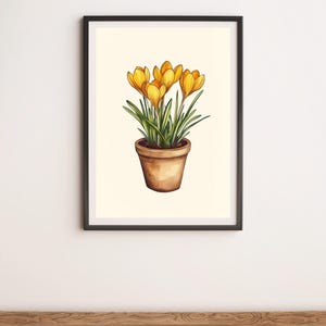 May include: A watercolor illustration of a potted plant with yellow crocus flowers. The plant is in a brown terracotta pot and has green leaves.