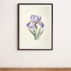 Pale Purple Iris Botanical Illustration Wall Art Digital Poster Print