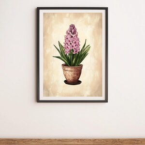 Pink Hyacinth Botanical Illustration Wall Art Digital Poster Print