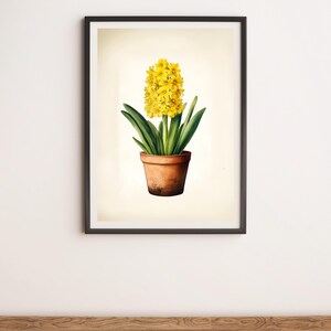 Yellow Hyacinth in a Pot Vintage Style Botanical Illustration Wall Art Digital Poster Print