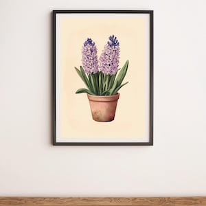 Purple Hyacinth Botanical Illustration Wall Art Digital Poster Print