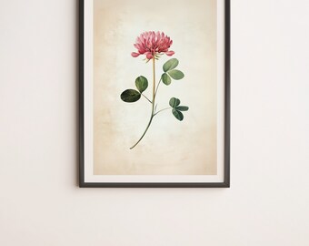 Red Clover_2 Botanical Illustration Wall Art Digital Poster Print