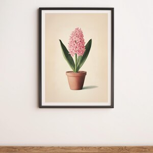 Pink Hyacinth Botanical Illustration Wall Art Digital Poster Print