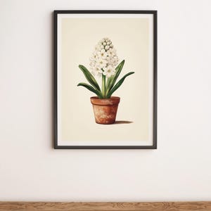 White Hyacinth in a Pot Vintage Style Botanical Illustration Wall Art Digital Poster Print