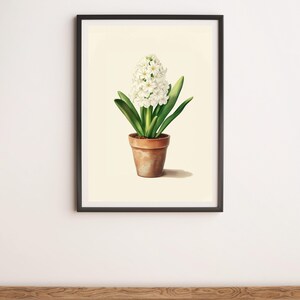 White Hyacinth in a Pot Botanical Illustration Wall Art Digital Poster Print