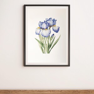 Two Blue Irises Botanical Illustration Wall Art Digital Poster Print
