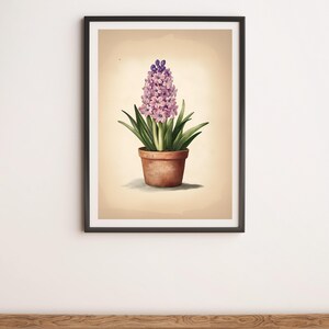 Pink Hyacinth Vintage Style Botanical Illustration Wall Art Digital Poster Print