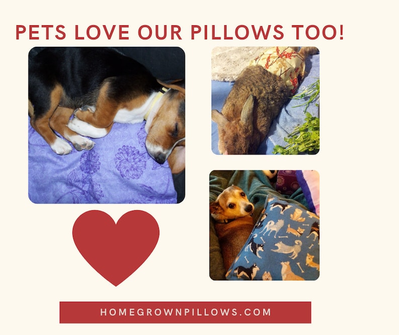 Rainbow Dog Heating Pad Rice Bag Heat Pack Hot Cold Pack Etsy