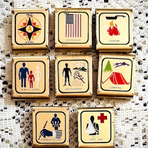 May include: A collection of vintage metal matchboxes with gold frames and various illustrations. The boxes feature images and text related to topics like hiking, citizenship, cooking, family living, environment, camping, communications, and first aid.