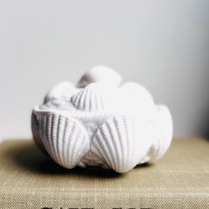 May include: A white, seashell-shaped decorative object. The object is resting on a book with the words "CAPE COD" printed on the cover. The seashell design has a textured, ridged surface.
