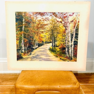 May include: A framed print of a road winding through a forest in autumn. The trees display vibrant colors of yellow, orange, and red. The print is set against a cream-colored mat and rests on a vintage brown suitcase.