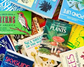 Vintage nature guides (Golden, Peterson, Usborne, Audubon) — trees, seashells, birds, wildflowers, fish, stars