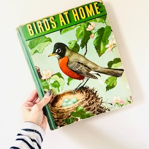 May include: Vintage book titled "Birds at Home" with a green spine and cover. The cover features a colorful illustration of a robin perched on a nest with blue eggs, surrounded by leaves and flowers. The title is in yellow letters.