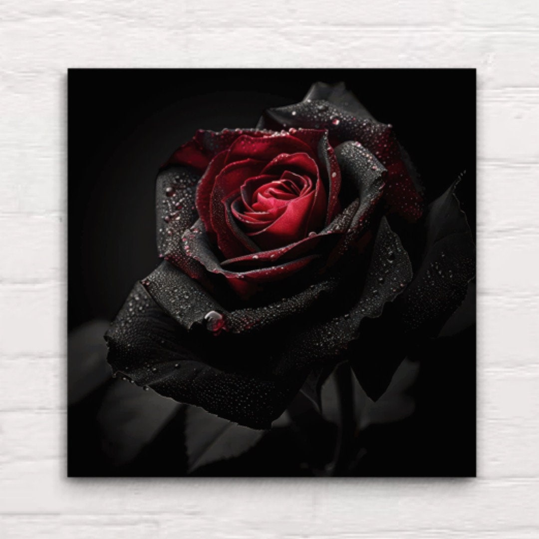 Canvas Wall Art Gothic Rose Black Petals Red Center Dark Aesthetic