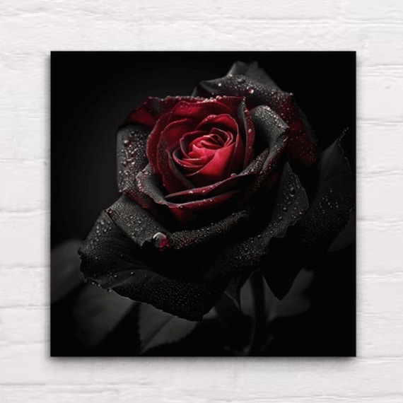 Canvas Wall Art Gothic Rose Black Petals Red Center Dark Aesthetic