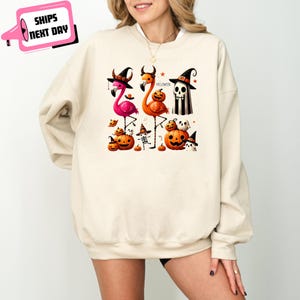 Halloween Flamingo Witch Sweatshirt Funny Cute Ghost Pumpkin Jack o Lantern Trick or Treat Spooky Kawaii Halloween Gift for Flamingo Lover