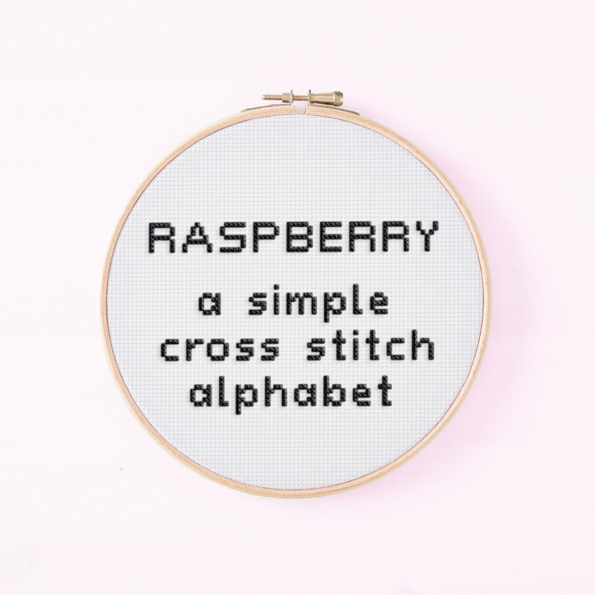 Raspberry - Cross Stitch Alphabet Pattern - Alphabet 20 - Print Sans Serif