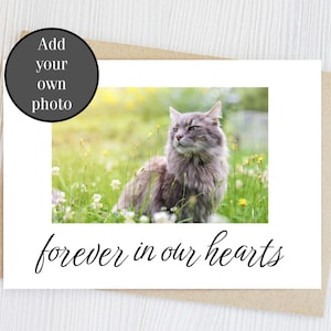 Custom pet loss card cat sympathy condolence dog grievance thoughtful animal loss gift ideas personalized blank greeting card photo message