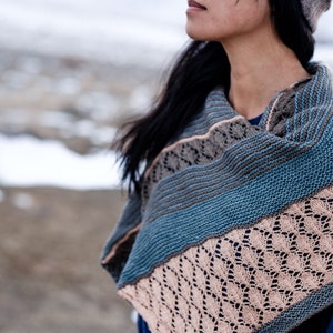 May include: A woman wearing a blue knitted shawl with a light pink and brown lace pattern. The shawl is draped over her shoulders and neck. She is standing in a snowy landscape.