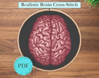 Anatomic Brain Cross Stitch Pattern (Instant PDF Download), Top View Realistic Brain Pattern, Easy Science Cross Stitch