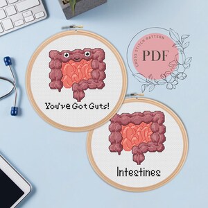 Może przedstawiać: Dwa wzory do haftu krzyżykowego przedstawiające kreskówkowe jelito z tekstem "You've Got Guts!" i "Intestines".