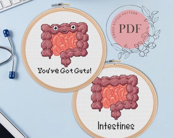 You’ve Got Guts! Funny Science Cross Stitch Pattern (Instant PDF Download), Cute Intestines Cartoon, Human Anatomy, Doctor Gift
