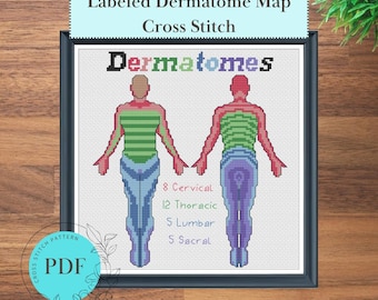 Dermatome Map Anatomical Cross Stitch Pattern (Instant PDF Download), Doctor Gift, Teacher Gift, Easy Dermatome Chart Cross Stitch Art