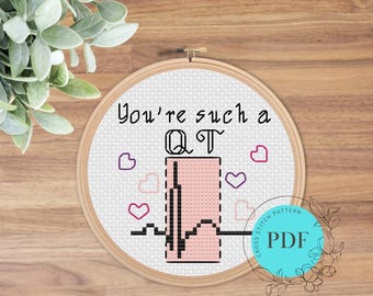 You’re Such a QT Mini Cross Stitch Pattern (Instant PDF Download), Gift for Doctors and Nurses, Easy, Funny, Science Cross Stitch Pattern