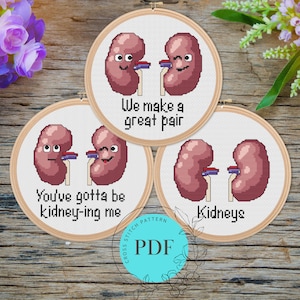 May include: Three cross stitch patterns featuring cartoon kidneys with faces and text. The first pattern says "We make a great pair". The second pattern says "You've gotta be kidney-ing me". The third pattern says "Kidneys".