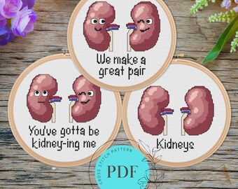 Funny Kidneys Cross Stitch Patterns “We Make a Great Pair” (Instant PDF Download), Easy, Cute Human Anatomy Cartoons, Science Gift