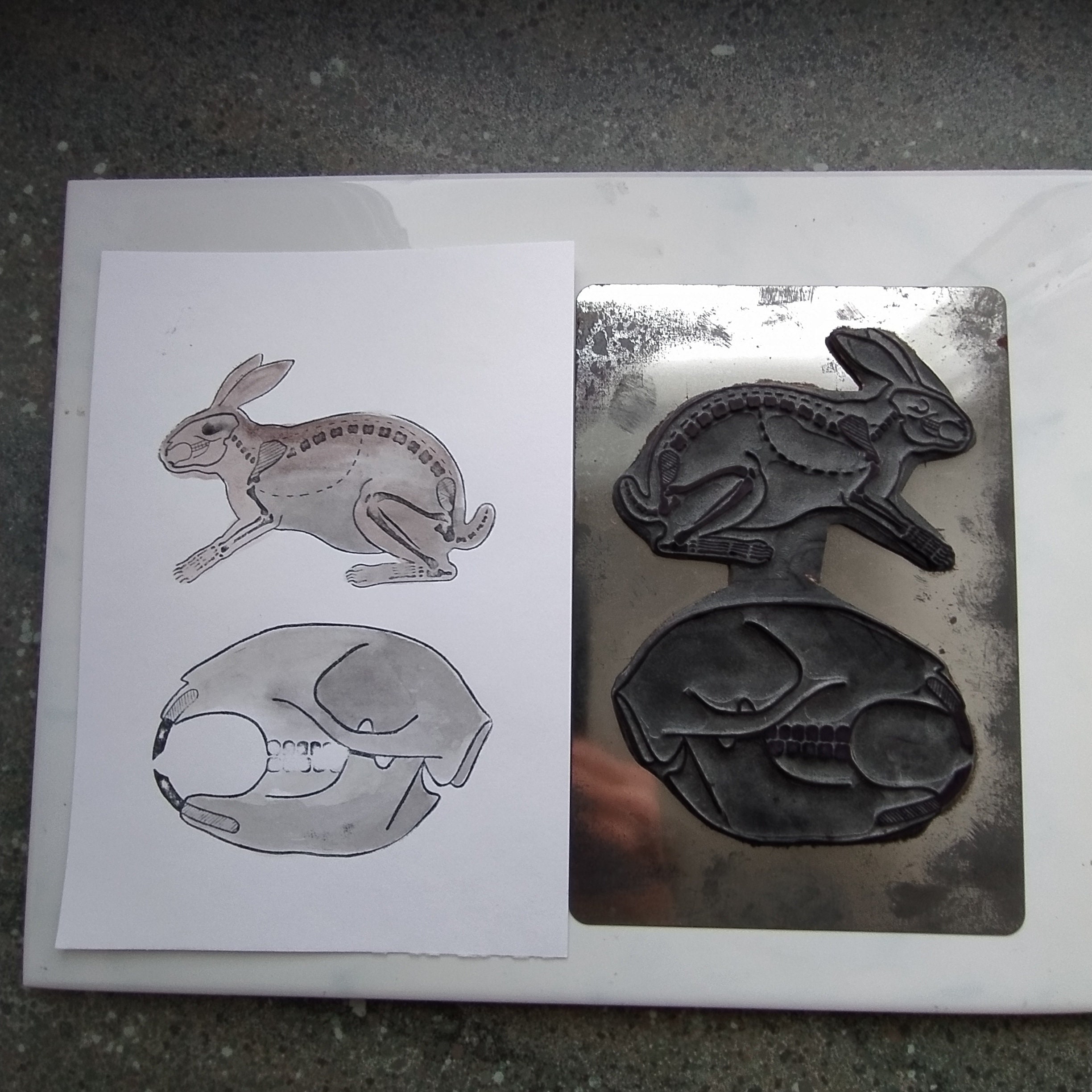 Vintage Rubber stamp  of rabbit or hare   Anatomical cut of rabbit