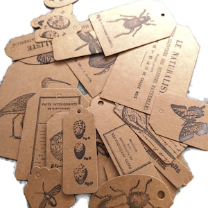 Etichette della natura - Journaling e junk journal - Molte etichette di insetti, pesci, insetti - etichette in stile vintage e vecchio stile